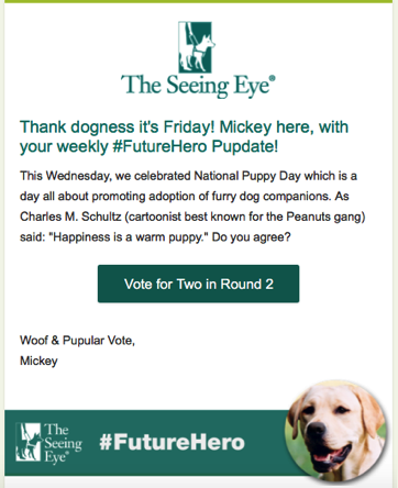 Example of Future Hero Pupdate Email from Mickey